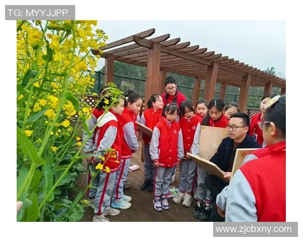 老虎顶足球的奇妙旅程探索运动与自然的完美结合