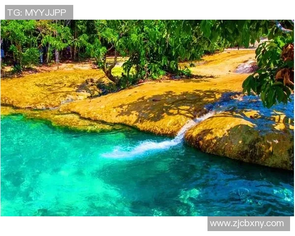 珊瑚海足球:探索热带海域的足球文化与激情之旅